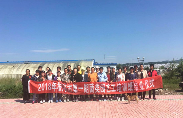 P020180703151519_368_副本.jpg