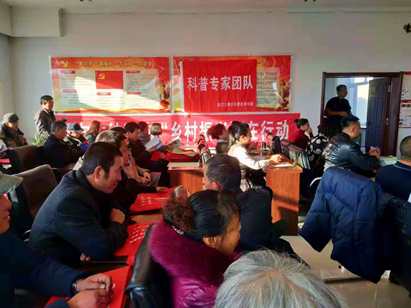 图片1_副本.png