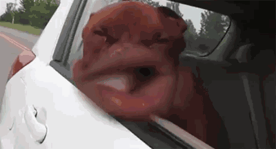 8级大风真的能把瘦子吹跑吗？