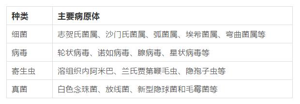 夏日享受美食，当心“感染性腹泻”这个小怪物！