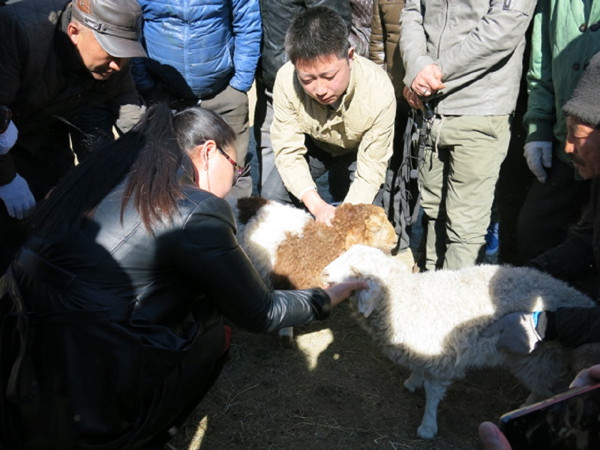 微信图片_20190425104401.jpg