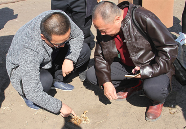 微信图片_20190425104422.png