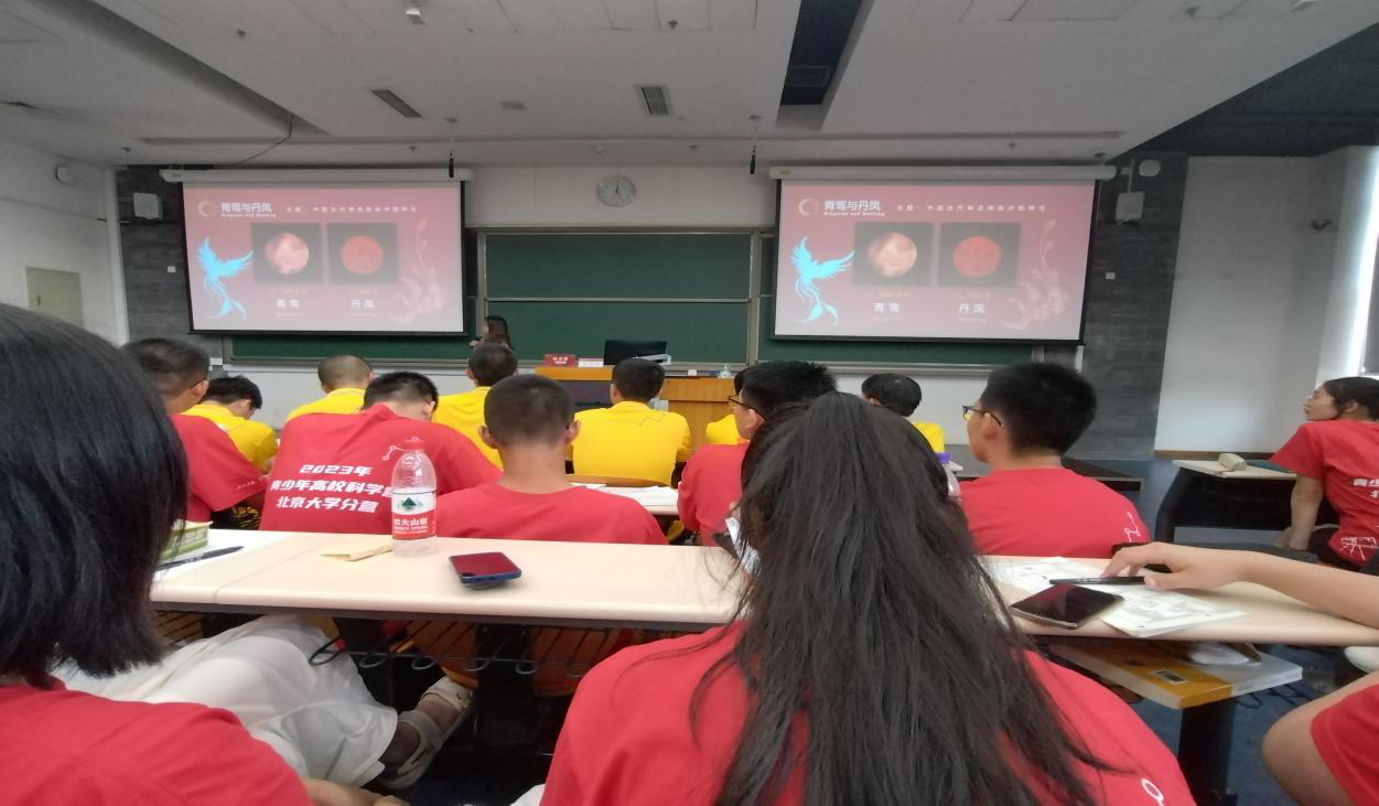图片13.png